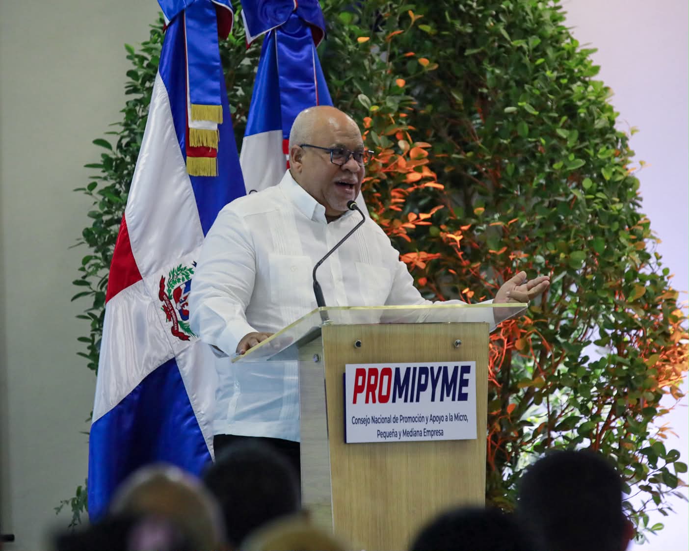 durante entrega en Santiago