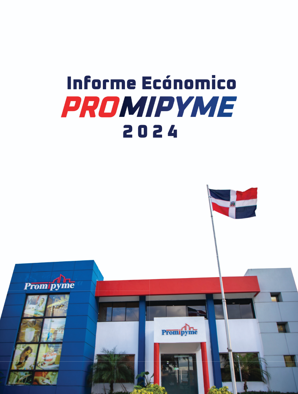 Informe Promipyme